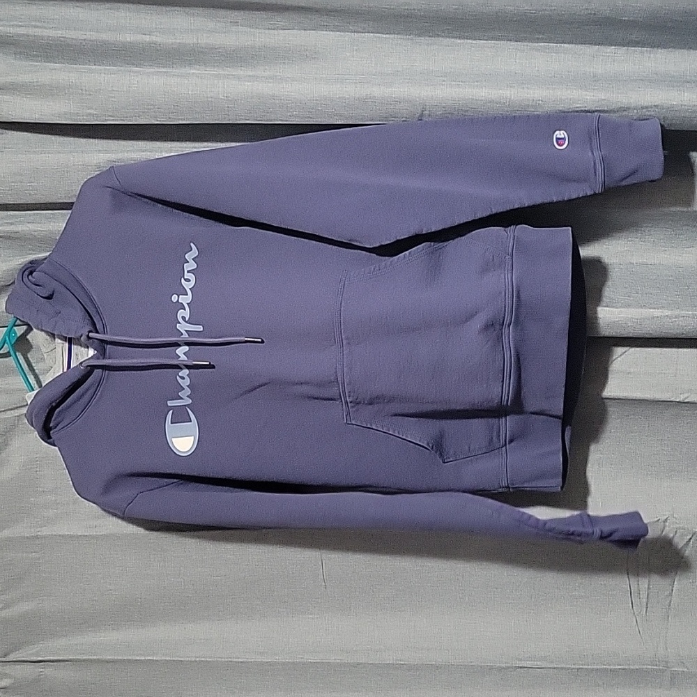 Champion Powerblend hoddie. Small.
